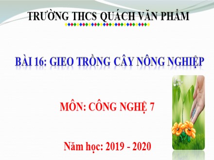 Bài giảng Công nghệ Lớp 7 - Bài 16: Gieo trồng cây nông nghiệp - Năm học 2019-2020 - Trường THCS Quách Văn Phẩm