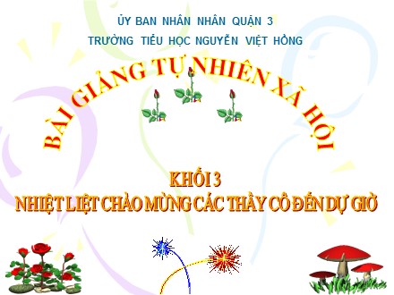 Bài giảng Tự nhiên và xã hội Khối 3 - Bài 48: Quả - Trường Tiểu học Nguyễn Việt Hồng