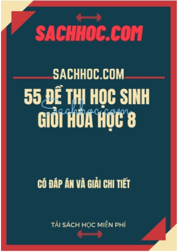 Bộ đề thi học sinh giỏi môn Hóa học Lớp 8 (Có đáp án)
