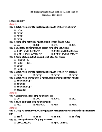 Đề cương ôn tập học kì I môn Hóa học Lớp 11 - Năm học 2021-2022