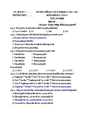 Đề kiểm tra giữa học kì II môn Sinh học Lớp 11 - Năm học 2018-2019 - Đề 1 (Có đáp án)