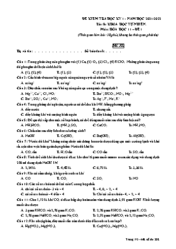 Đề kiểm tra học kì I môn Hóa học Lớp 11 - Năm học 2021-2022 (Có đáp án)