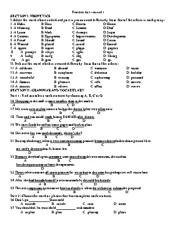 Đề ôn tập môn Tiếng Anh Lớp 5 - Practice test 5