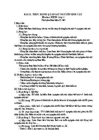 Giáo án Sinh học Khối 6 - Bài 31: Thực hành quan sát nguyên sinh vật (Kết nối tri thức với cuộc sống)