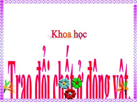 Bài giảng Khoa học 4 - Bài 64: Trao đổi chất ở động vật