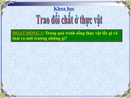 Bài giảng Khoa học 4 - Bài: Trao đổi chất ở thực vật