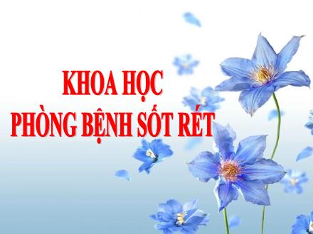 Bài giảng Khoa học 5 - Bài 12: Phòng bệnh sốt rét