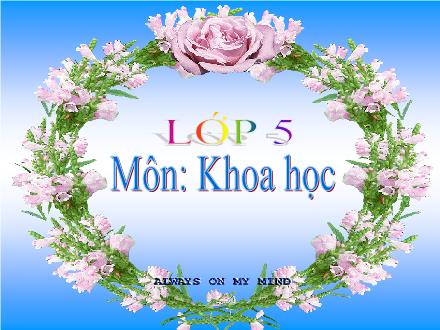 Bài giảng Khoa học 5 - Bài 22: Tre, mây, song