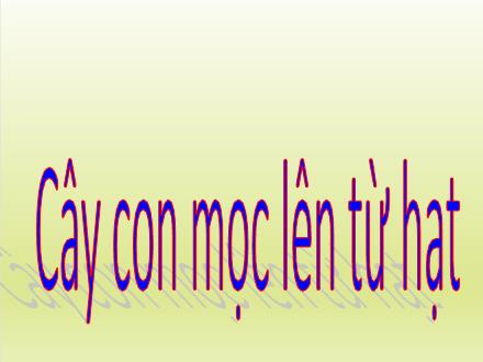 Bài giảng Khoa học 5 - Bài 53: Cây con mọc lên từ hạt