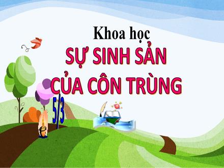 Bài giảng Khoa học 5 - Bài 56: Sự sinh sản của côn trùng