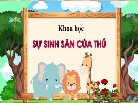 Bài giảng Khoa học 5 - Bài 59: Sự sinh sản của thú