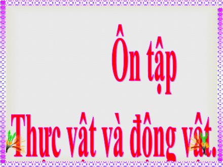 Bài giảng Khoa học 5 (Ôn tập) - Bài 61: Thực vật và động vật