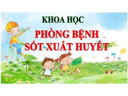 Bài giảng Khoa học Lớp 5 - Bài 13: Phòng bệnh sốt xuất huyết (Tiếp theo)