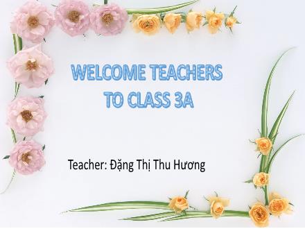 Bài giảng Tiếng Anh 3 - Unit 16: Do you have any pets? - Đặng Thị Thu Hương