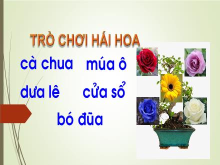 Bài giảng Tiếng Việt 1 (Kết nối tri thức) - Bài 26: Ph, ph - Qu, qu