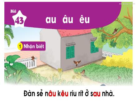 Bài giảng Tiếng Việt 1 (Kết nối tri thức) - Bài 43: Au, âu, êu