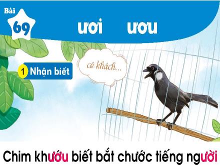 Bài giảng Tiếng Việt 1 (Kết nối tri thức) - Bài 69: Ươi, ươu