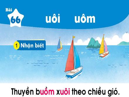 Bài giảng Tiếng Việt 1 (Kết nối tri thức với cuộc sống) - Bài 66: Uôi, uôm