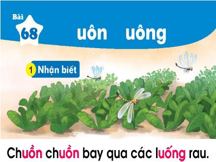 Bài giảng Tiếng Việt 1 (Kết nối tri thức với cuộc sống) - Bài 68: Uôn, uông