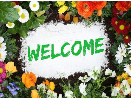 Bài giảng Tiếng Việt 1 (Vì sự bình đẳng và dân chủ trong giáo dục) - Bài 6: C, a