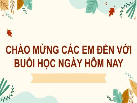 Bài giảng Tiếng Việt 2 (Đọc) - Bài 20, Tiết 1+2: Nhím nâu kết bạn