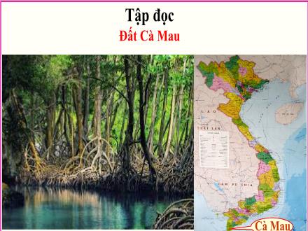 Bài giảng Tiếng Việt 5 (Tập đọc) - Tuần 9 - Đất Cà Mau