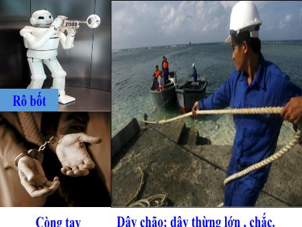 Bài giảng Tiếng Việt 5 - Tuần 13 - Người gác rừng tý hon