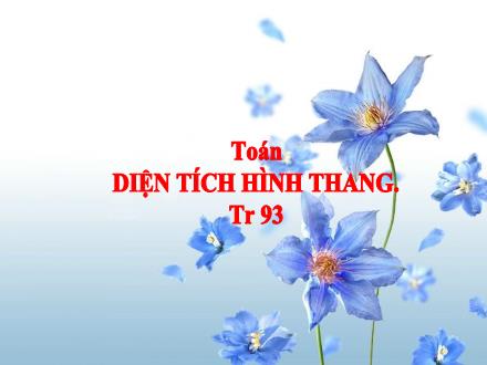 Bài giảng Toán 5 - Diện tích hình thang (Trang 93)
