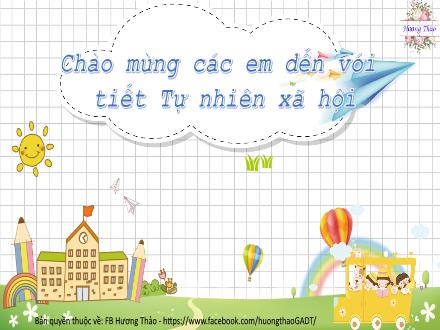 Bài giảng Tự nhiên và Xã hội 2 (Kết nối tri thức) - Bài 3: Phòng tránh ngộ độc khi ở nhà (Tiết 1)
